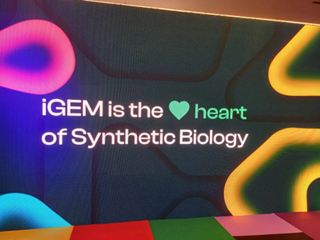 IGEM